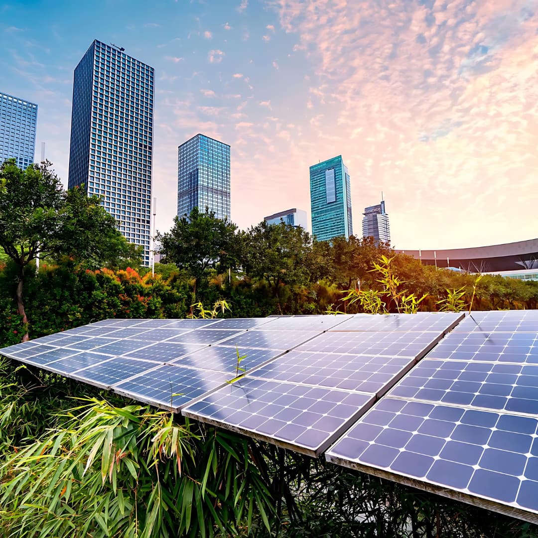 CCL Rates 2026: Complete Climate Change Levy Guide for Businesses