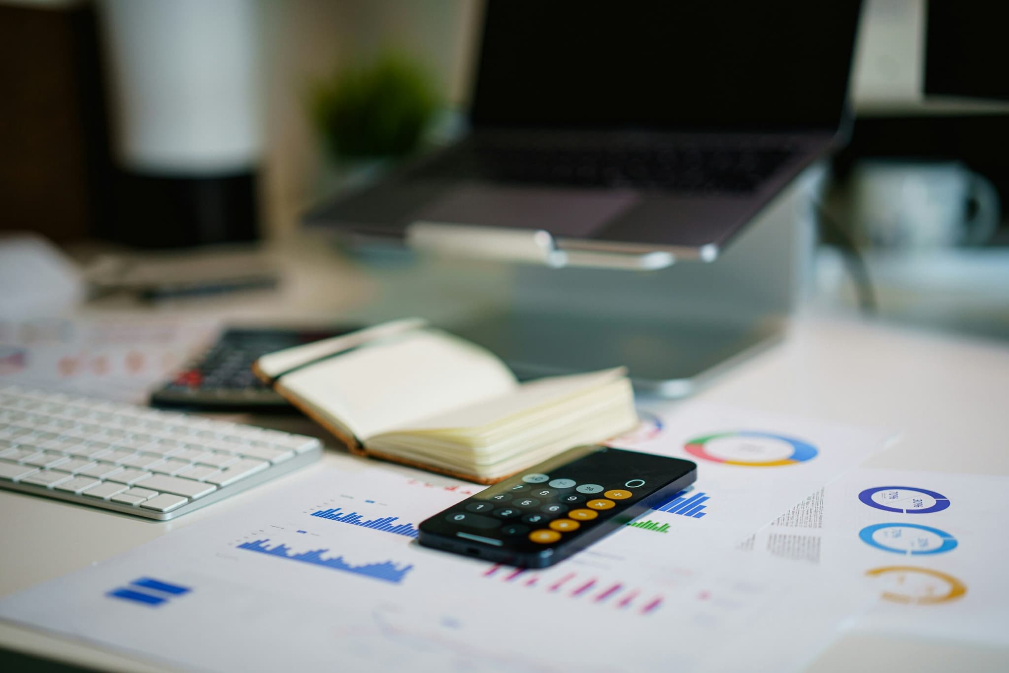 Local Bank Statement Converter With No Setup or Monthly Fee